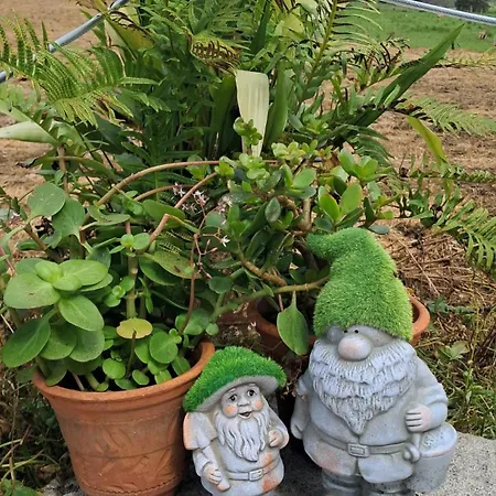 La Venta Prázdninový dům