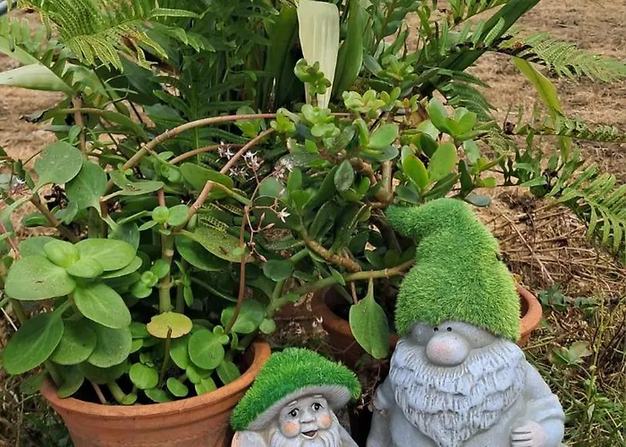 La Venta Holiday home